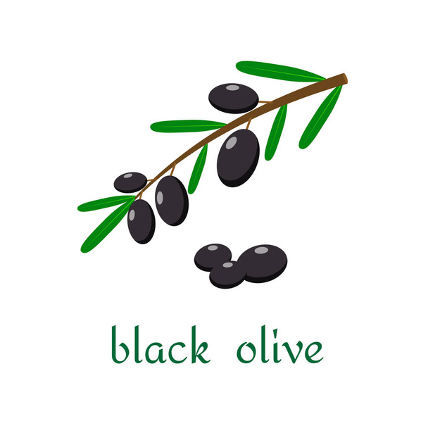 Vector Black Olives Isolated Line Icon - Vector, afbeelding