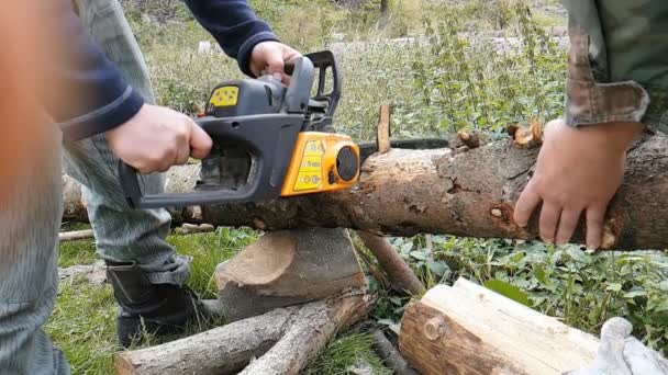 チェーンソー スローモーションで木の幹を切断する男 - 映像、動画