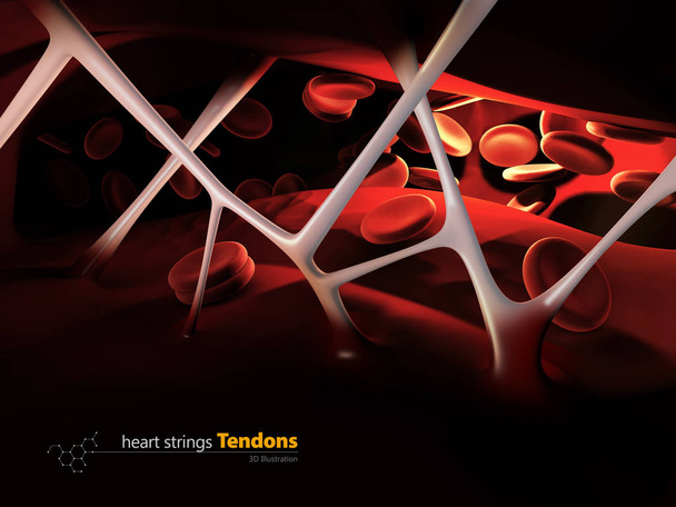 3d Illustration of heart strings Tendons, inside the human heart - Photo, Image