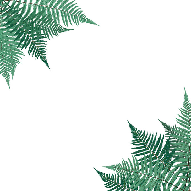 Fern Leaf Vector Background Illustration - Διάνυσμα, εικόνα