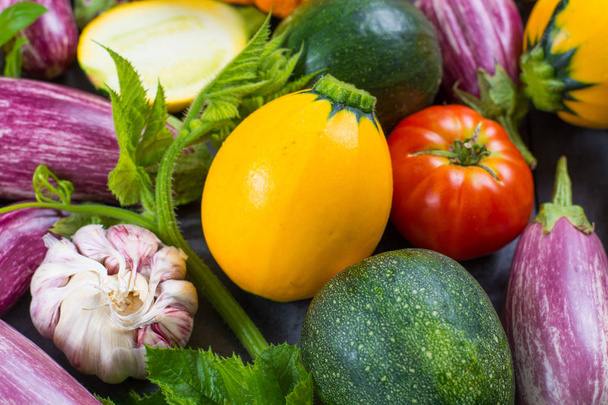 Πολύχρωμα φρέσκα βιολογικά λαχανικά - στρογγυλό κολοκυθάκι, μικρές μελιτζάνες, ντομάτες, διατροφή έννοια, Ιταλικά και γαλλικά τρόφιμα, υγιεινά τρόφιμα. - Φωτογραφία, εικόνα
