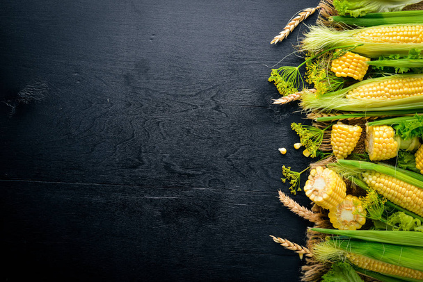 Corn. Raw Vegetables On a black wooden background. Top view. Free space for your text. - 写真・画像