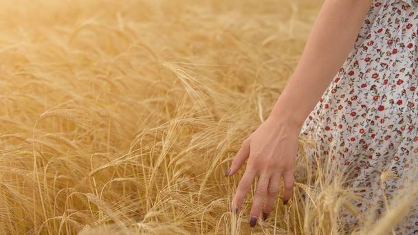 Frauenhand gegen Weizenähren, Freiheit - Foto, Bild