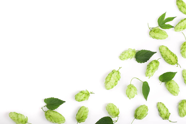 hop cones with leaf isolated on white background close-up. Top view - Photo, Image