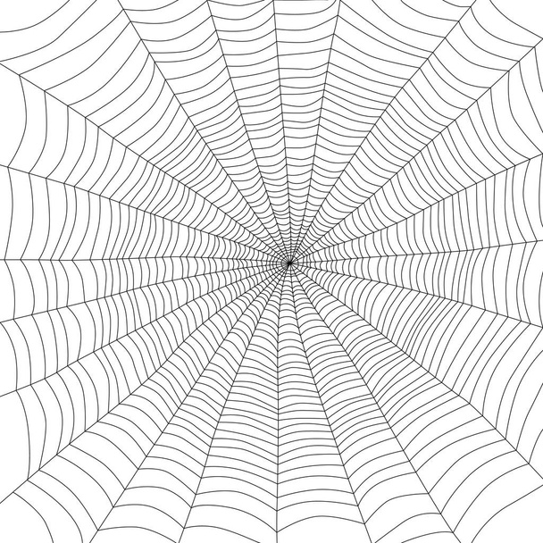 蜘蛛の巣と背景 - ベクター画像
