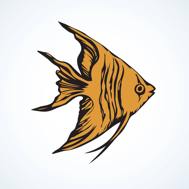 Trójkątne ryb. Wektor rysunek - Wektor, obraz
