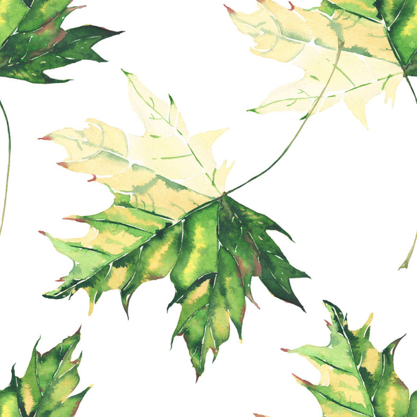 Beautiful bright graphic tender herbal floral autumn green and yellow maple leaves pattern watercolor hand illustration. Perfect for textile, wallpapers, wrapping paper, greetings card - Foto, immagini