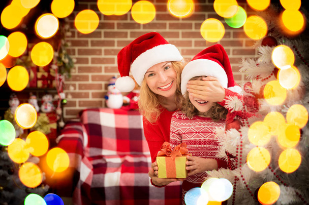 クリスマスのクリスマスの家族の休日冬 - 写真・画像
