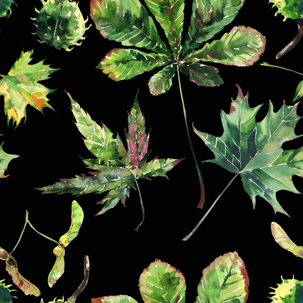 Hermoso gráfico maravilloso brillante floral herbario otoño verde arce castaño hojas y castañas patrón sobre fondo negro acuarela boceto de mano. Perfecto para textiles, papeles pintados, papel de envolver
 - Foto, Imagen