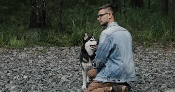 Σιβηρία σκύλος χάσκεϋ αστείο σκύλο στη φύση - Πλάνα, βίντεο