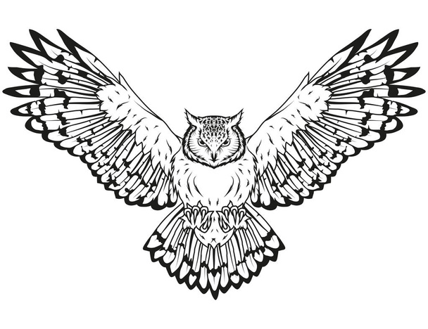 Hand drawn owl logo - Vektori, kuva