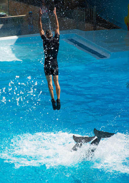 Show με τα δελφίνια. Ο άνθρωπος που πηδούν έξω από το νερό. - Φωτογραφία, εικόνα