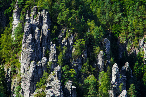 National park Saxon Switzerland  - Fotoğraf, Görsel