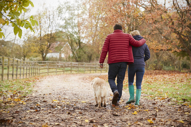 Couple On Autumn Walk With Labrador - Фото, изображение