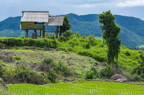 kleine hut en rijstvelden in een bewolkt verlichting omringd door bomen en bergen bij Pa Bong Piang in de buurt van Inthanon National Park en Mae Chaem, Chiangmai, Thailand - Foto, afbeelding