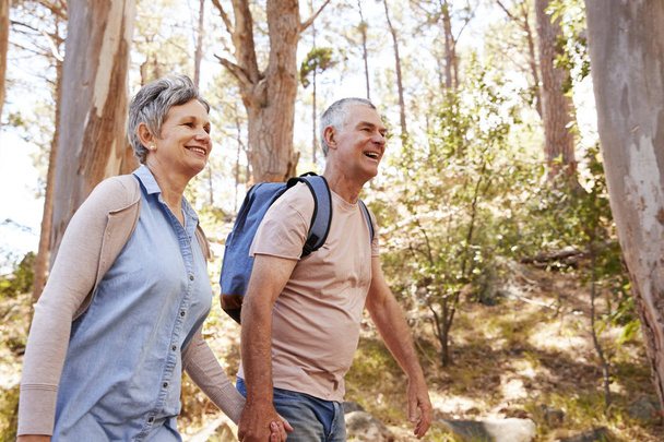 mature couple hiking along forest - Foto, afbeelding