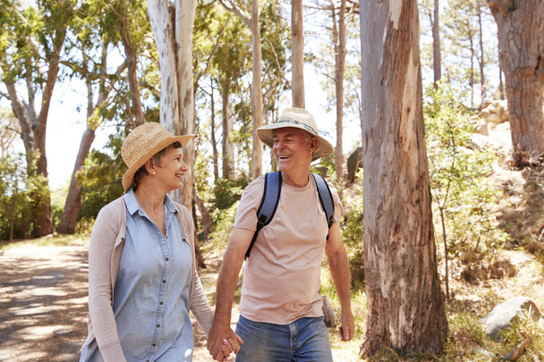 mature couple hiking along forest - 写真・画像