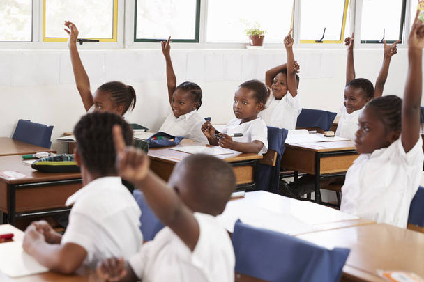 Kids raising hands during lesson - Foto, afbeelding