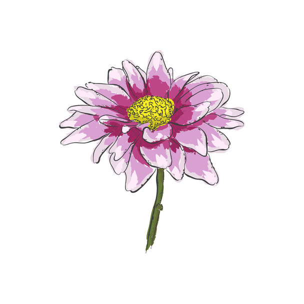  Hand draw of flower. Vector illustration on a white background. - Vector, Image