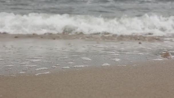 golven op een zandstrand - Video