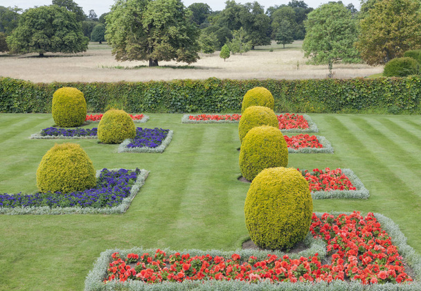 Suorakulmainen kukkapenkkiin, kartion muotoinen topiary suojatussa puutarhassa Englannissa maaseudulla
 . - Valokuva, kuva