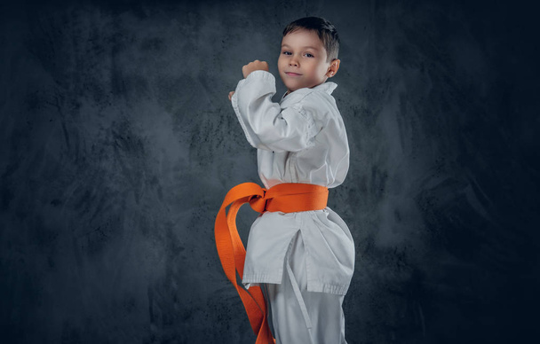 Portrait D'un Enfant De Karaté Dans Le Kimono Prêt à Combattre Photo stock  - Image du courroie, énergie: 45531272