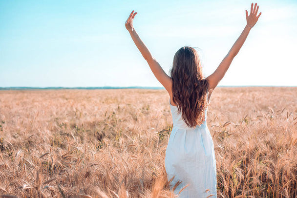 A girl in summer wheat field, raises her hands white dress, tanned skin, happy on vacation in the fresh air. A sunny day. Enjoying nature. Freedom of choice. - Foto, afbeelding