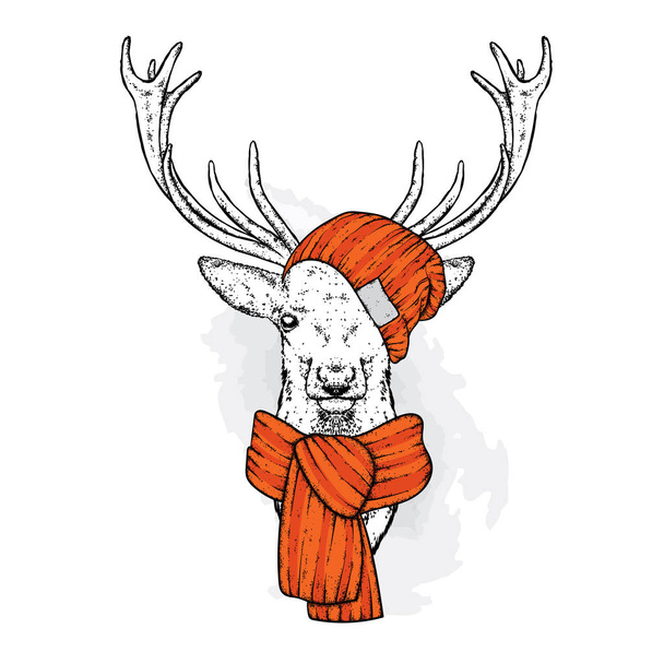 Un hermoso ciervo con sombrero y bufanda. Ilustración vectorial para una postal o un póster, impresión para ropa. Moda & Estilo
. - Vector, Imagen