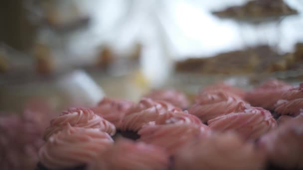 az esküvői cukorkát, édes sütemények. - Felvétel, videó
