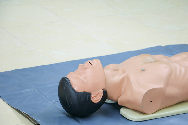 manequim médico em RCP, em treinamento de atualização de emergência para ajudar
  - Foto, Imagem