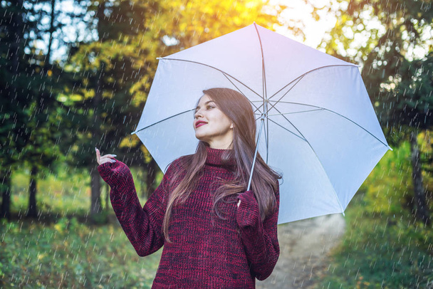 Joyeux jeune femme marchant dans un parc ensoleillé avec un parapluie blanc sous la pluie. Concept de saisons et humeur automnale
 - Photo, image