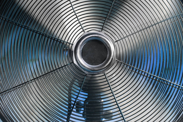 Урожай вентилятора Закри
 - Фото, зображення