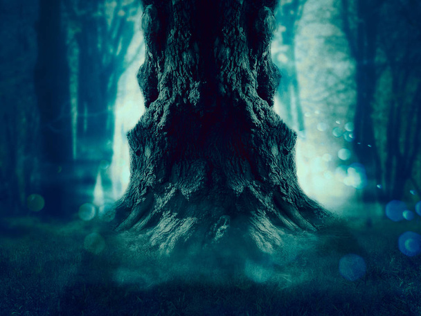 Дике дерево в лісі
 - Фото, зображення