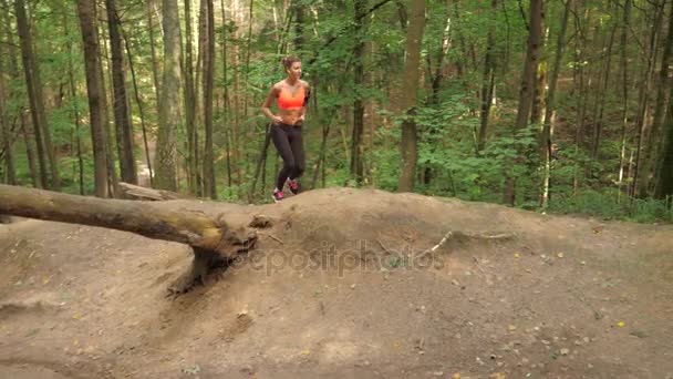 Μια νεαρή γυναίκα του σπορ που τρέχει κάτω από το Hill Crest στο ξύλο από το μονοπάτι - Πλάνα, βίντεο