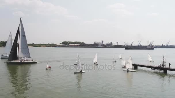 A sailboat harbor with a large number of sailing boats. Sailing harbor. Aerial - Footage, Video
