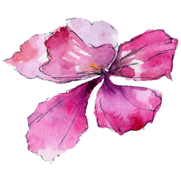 květ orchideje ve stylu akvarelu - Fotografie, Obrázek