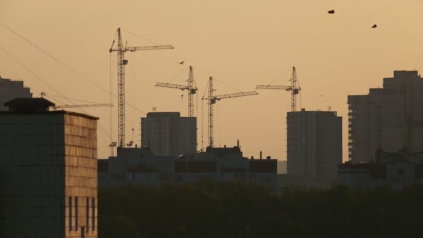Żurawie budowlane na placu budowy o wschodzie słońca - Materiał filmowy, wideo