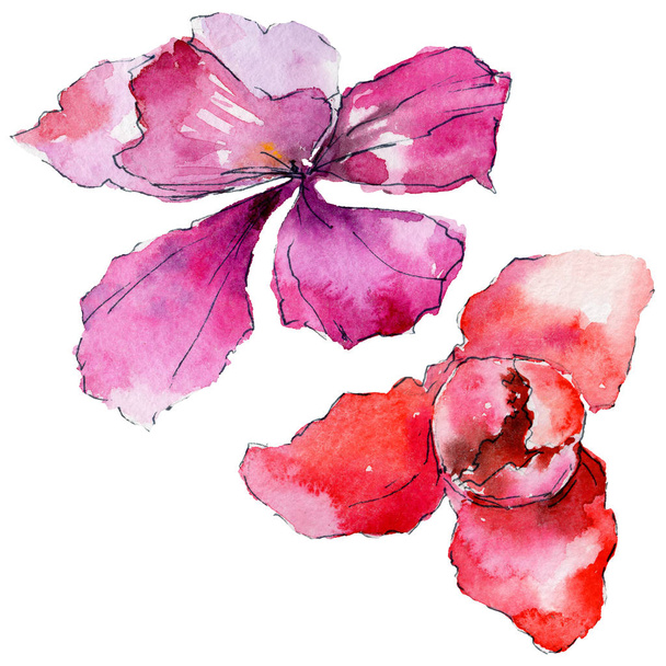 akvarell stílusú orchidea virág - Fotó, kép