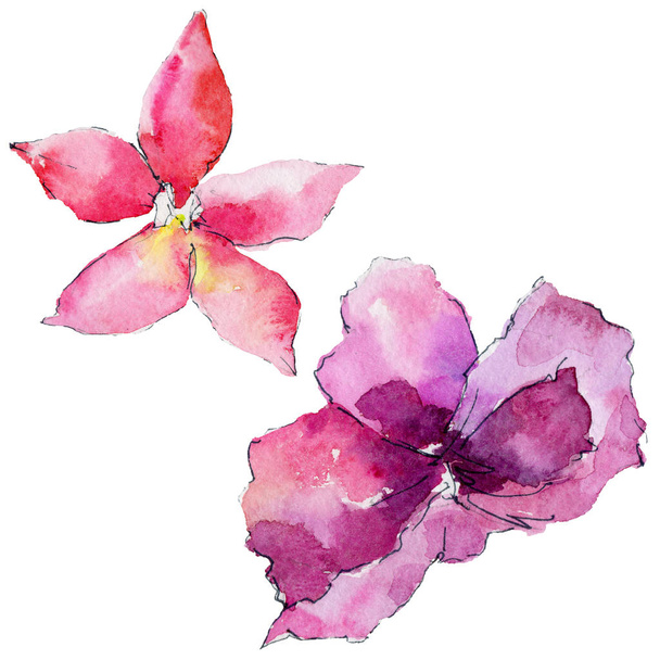 水彩風の蘭の花 - 写真・画像