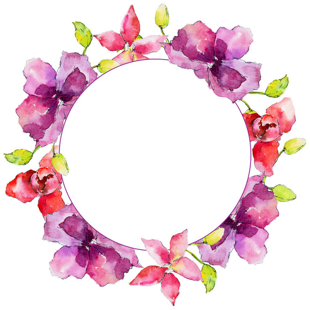 orchid flowers frame  - Photo, Image