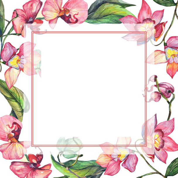 Wildflower orchid flower frame in a watercolor style. - Fotoğraf, Görsel