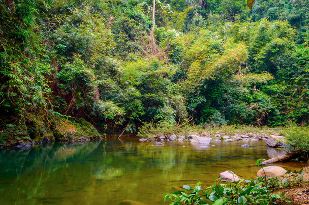 タイのカオソック国立公園での風景です。カオ ソック国立公園スラトタニ省の雨林のジャングル - 写真・画像