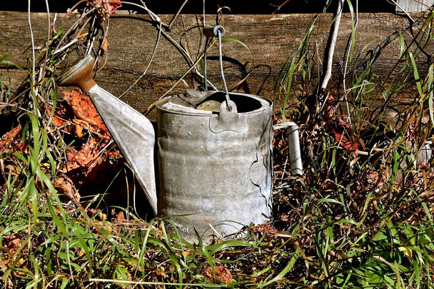 Старая канистра для полива палнтов
 - Фото, изображение