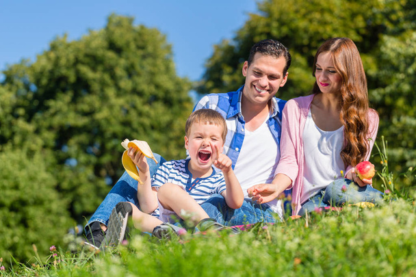 Rodzinny piknik siedzi w trawie na łące - Zdjęcie, obraz