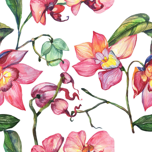 Wildflower orchid flower pattern in a watercolor style. - Foto, immagini