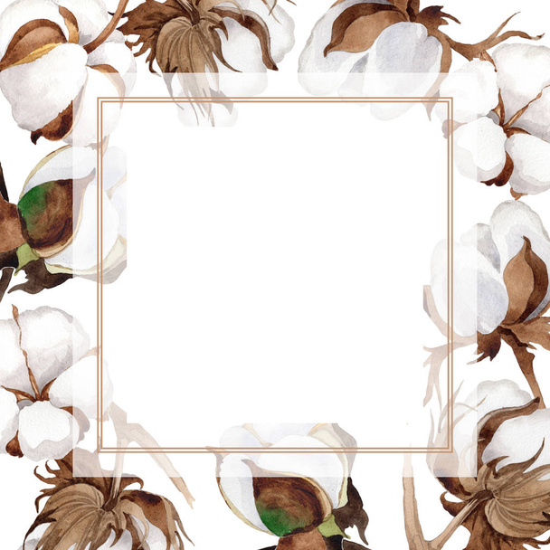 Wildflower cotton flower frame in a watercolor style. - Foto, Imagem