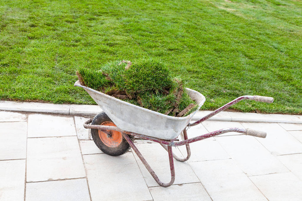 pieces of turf on a wheelbarrow near green lawn - Photo, Image