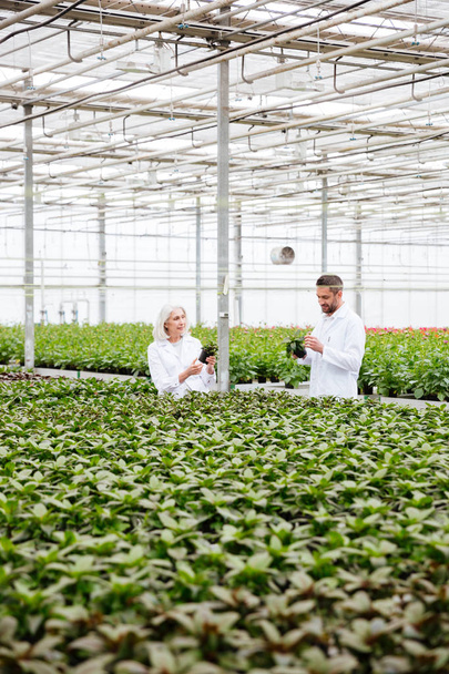 Mature colleagues man and woman looking at plants - Zdjęcie, obraz