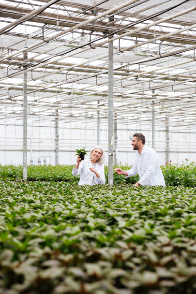 Young man gardener pointing at plant in hands of his colleague - Foto, Bild