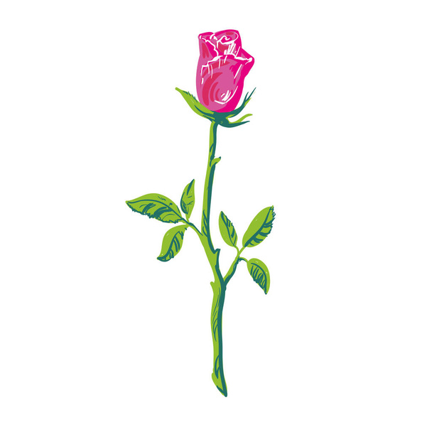 Silhouette rose element Rose icon isolated on white background. - Vektor, obrázek